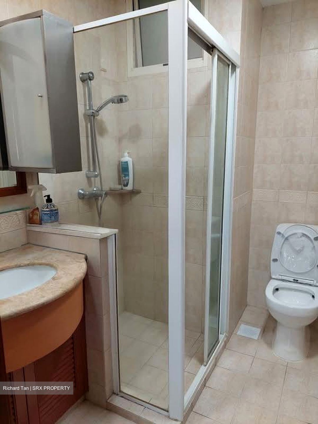 Seletar Springs Condominium (D28), Condominium #564161341
